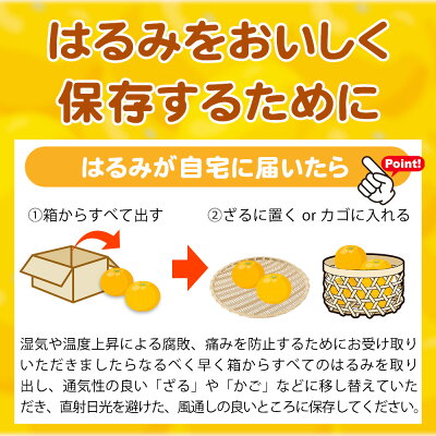 G7056_【2027年先行予約】果肉ぷりぷり! 完熟 はるみ 5kg