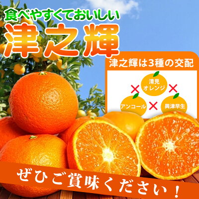 G7057_【2027年先行予約】和歌山産 津之輝 (つのかがやき) 5kg