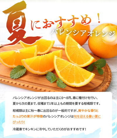G7080_希少な 国産 バレンシアオレンジ 7kg 【家庭用 訳あり】