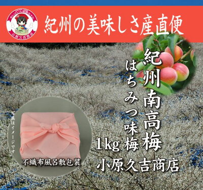 M6127n_[無地のし付]紀州南高梅はちみつ味１kg（ピンク色不織