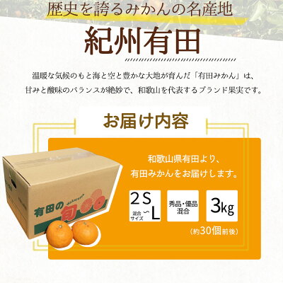 BF6031n_数量限定 期間限定 有田みかん 約 3kg 2S～Lサイズ サイ