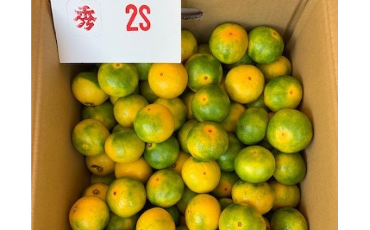 BF6040n_【数量限定】 ゆら早生みかん 5kg 赤秀 ２Sサイズ