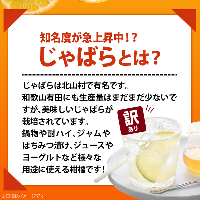 AB7033n_（国産）紀州和歌山の じゃばら 果実（訳あり ジャバ