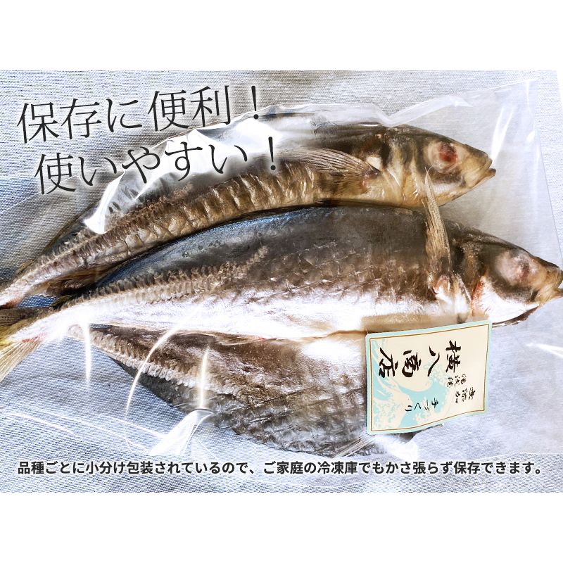 DL6002n_しらす ・ 干物 おまかせ詰め合わせ セット B