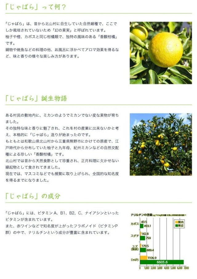 V6228_じゃばら果汁 360ml×10本 100％ストレート果汁 邪払 ジャ