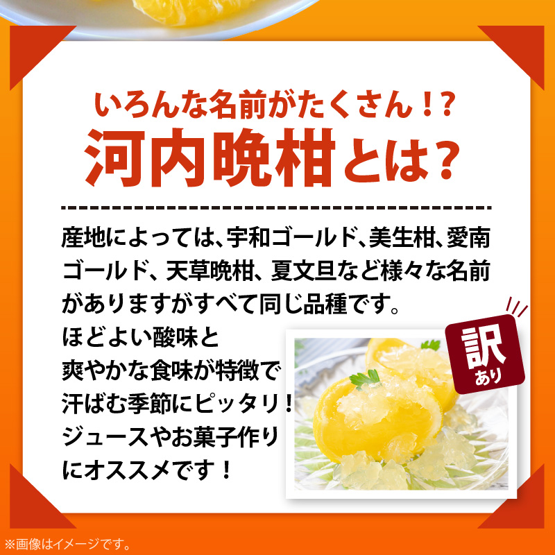 AB7041n_【2026年先行予約】有田育ちの 河内晩柑 【訳あり 家