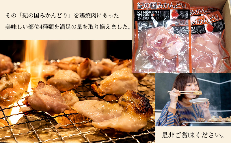 DO6002n_紀の国みかんどり 鶏 焼肉 セット【焼肉セット 焼鳥 