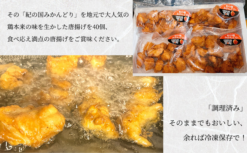 DO6004n_紀の国みかんどり 特選 唐揚げ【からあげ 鶏から 冷