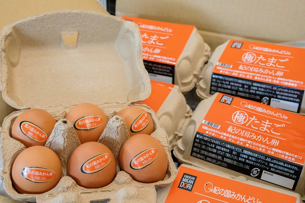 DO6008n_紀の国みかん 極みたまご 36個