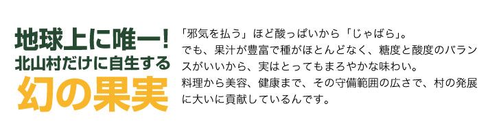V7270_じゃばらNRT-32 190g 邪払 ジャバラ じゃばら 北山村 / 紀