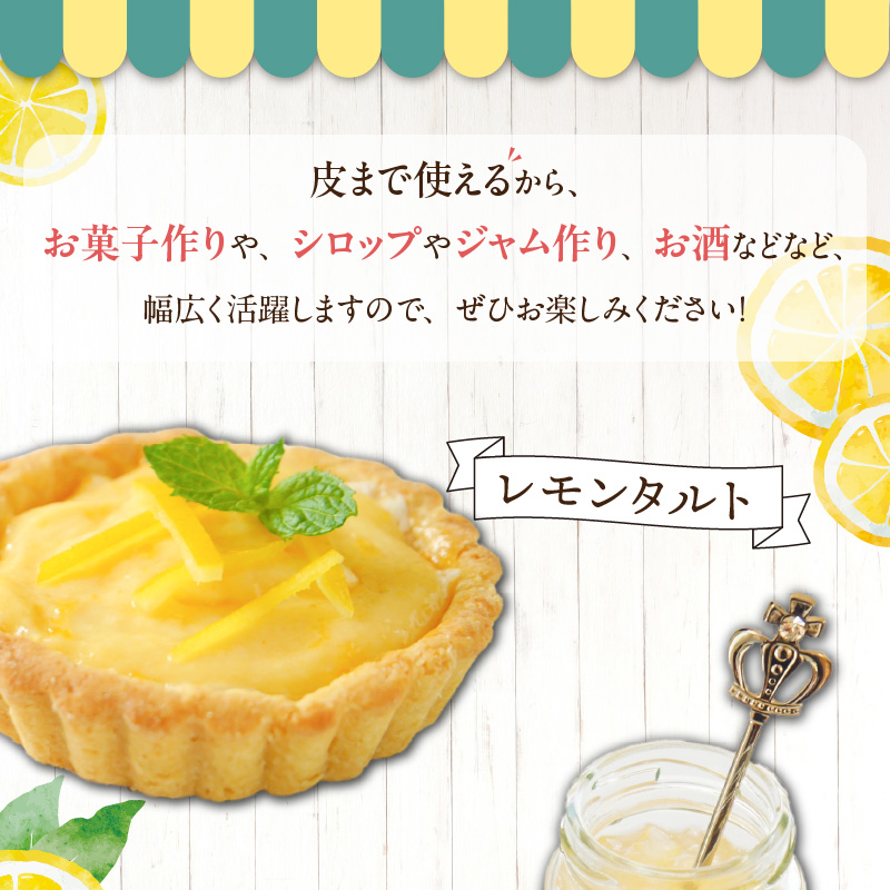 EA6011n_和歌山県産 完熟 レモン 3kg 皮まで使用可能（栽培期