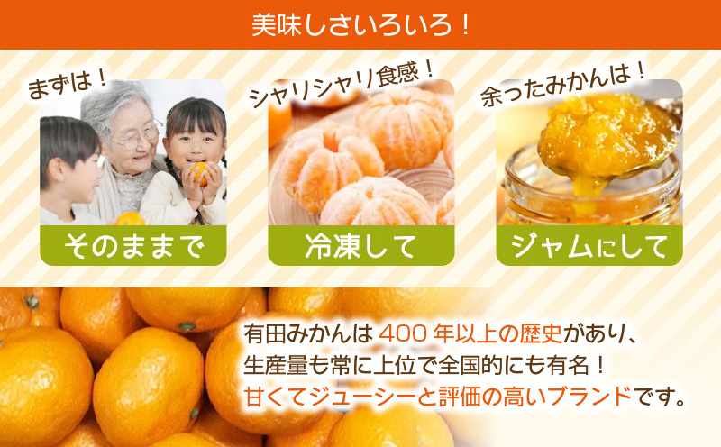 ZJ6097_果物ランキング1位獲得！ 総合ランキング6位獲得！TV