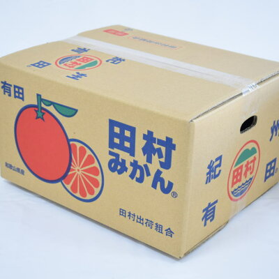 ZD7029_数量限定【ブランドみかん】田村みかん 約9kg (2Lサイ