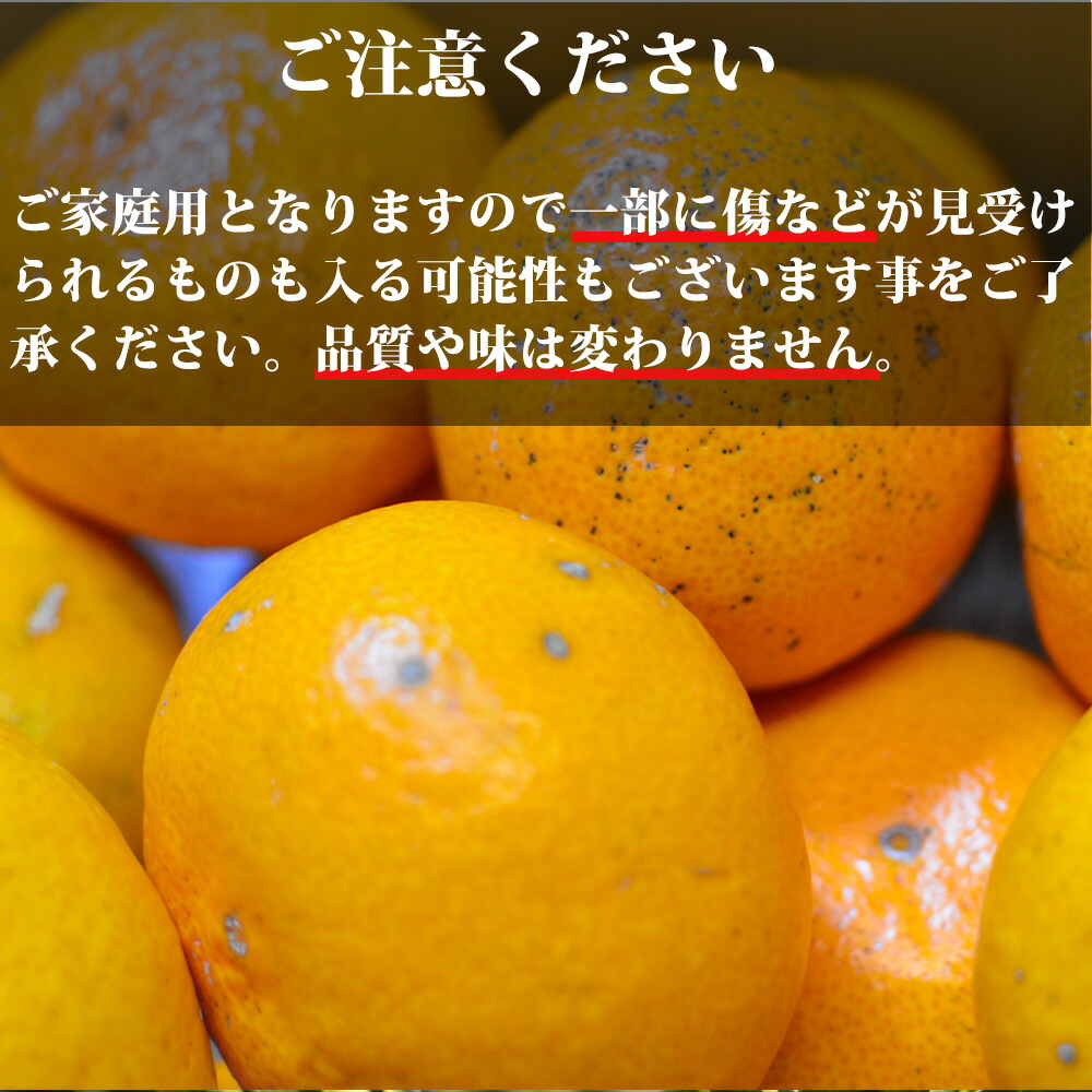 EA6036n_（訳あり 家庭用）濃厚な味わいのこだわり 有田みか