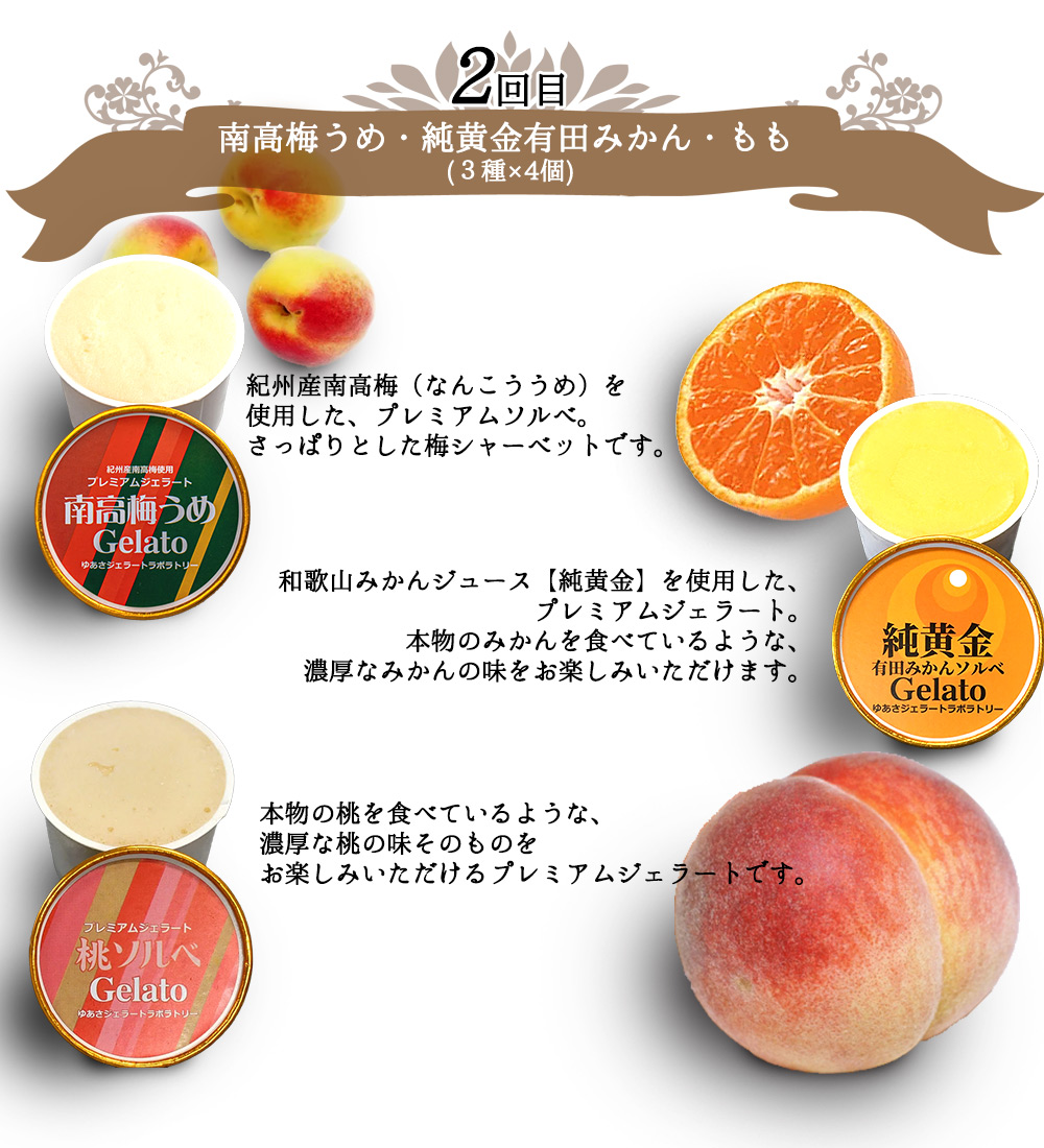 V20-T07_【定期便 全3回 毎月お届け】 和歌山のプレミアムジ