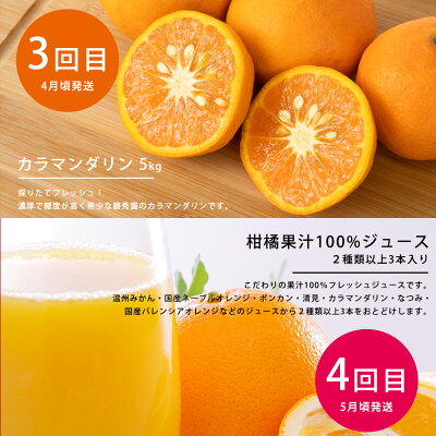 ZT6234n_ 【定期便 4回】こだわりの定期便 藤秀園 【ミカン 蜜