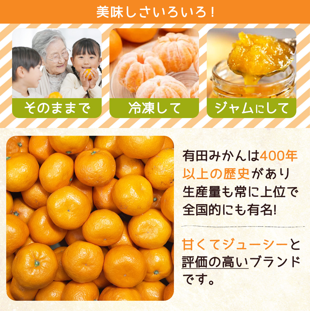 ZJ6084_ご家庭用　和歌山有田みかん 約5kg (2L、3Lサイズいずれ
