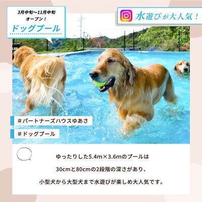 AL6011_ペットと泊まるログコテージの宿『パートナーズハウ