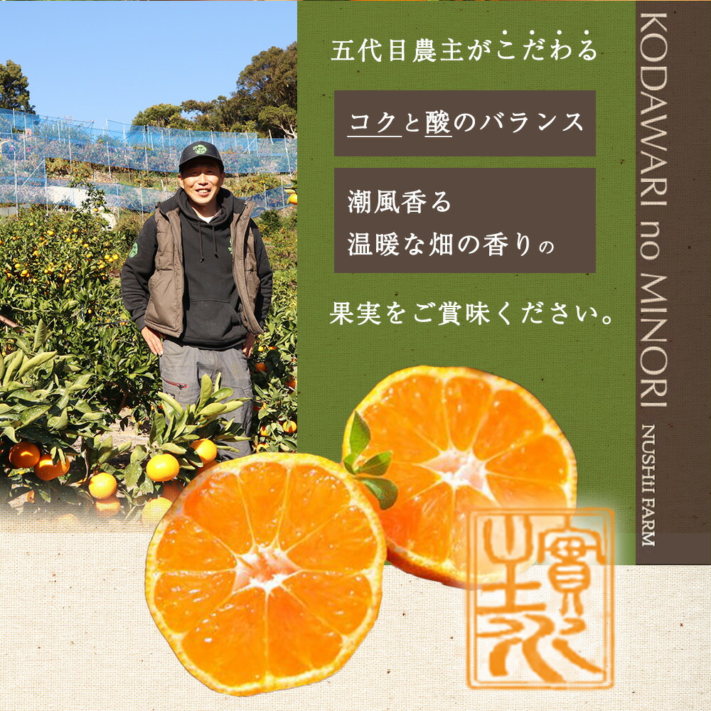 ZS6146_主井農園 高級 松兵衛みかん ご家庭用 1kg お試し (サイ