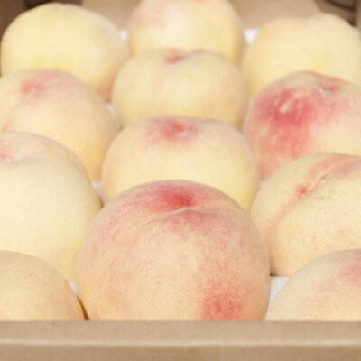 ZD6398_【産直・人気果物】和歌山の桃 4kg・秀選品