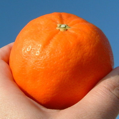 V7418_セミノール オレンジ 約2.8kg 和歌山県有田産 春みかん (