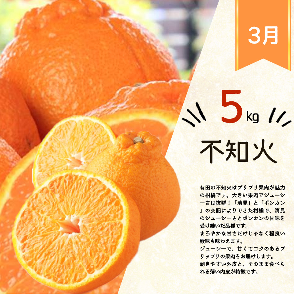 G60-T74_【定期便 全3回】紀州和歌山産旬の柑橘セット（田村