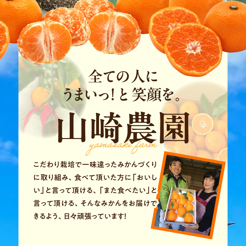YA1003_完熟 アルギット みかん 5kg M～L サイズ