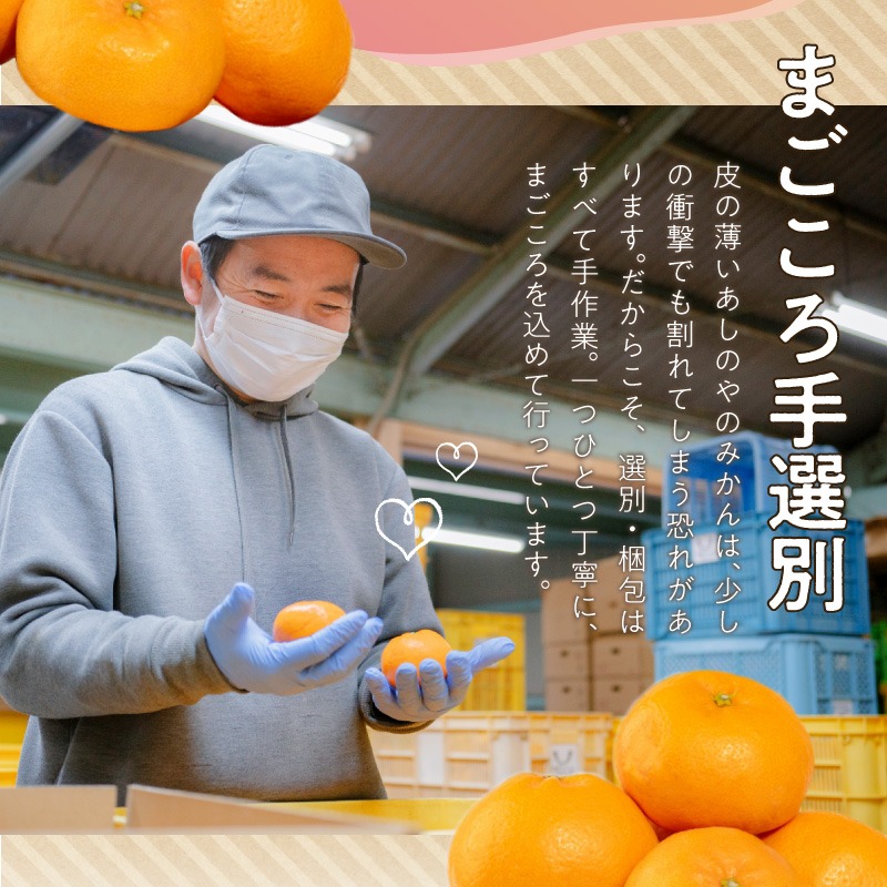 ZE6446_【2026年先行予約】【まごころ手選別】和歌山県産 有