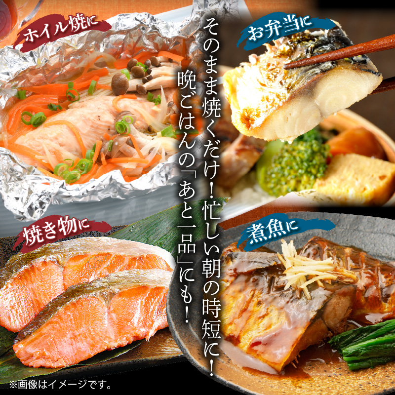 G60_T53_【定期便　全3回】人気の2種塩さば＆紅鮭切り身セッ