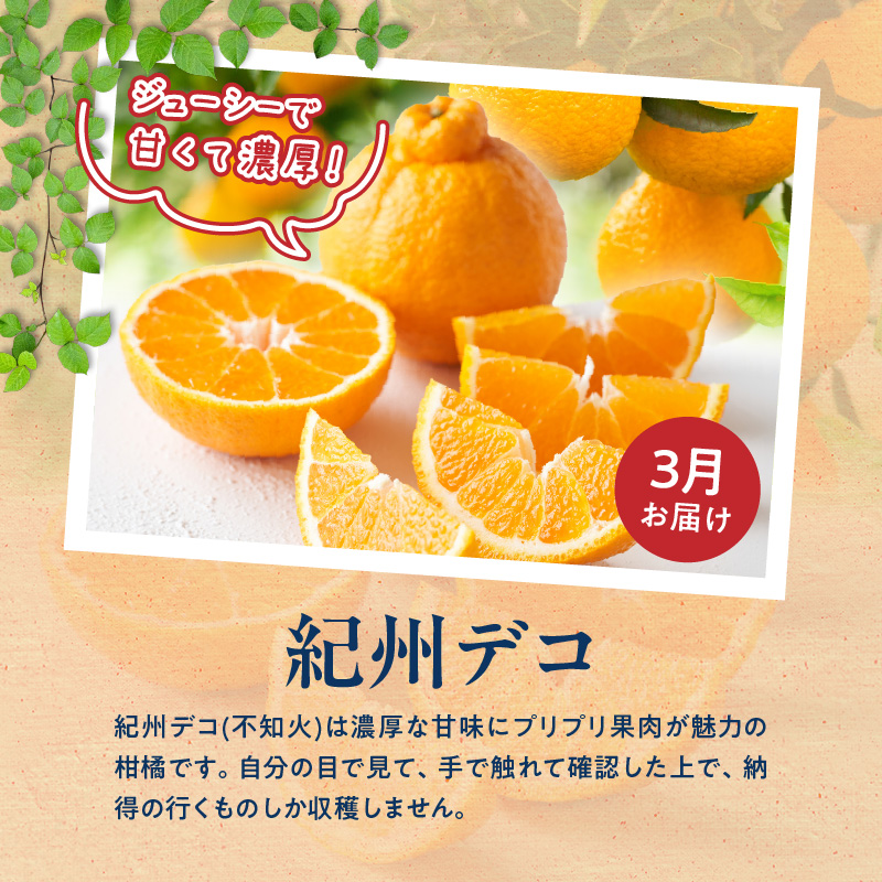 G60-T82_【定期便　全3回】魚鶴商店　旬のフルーツ定期便