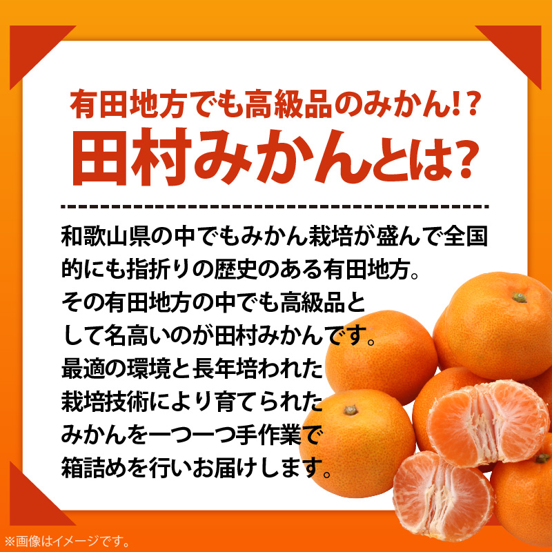 AB7305_ プレミアムブランド 田村みかん Lサイズ 秀品  約5kg 