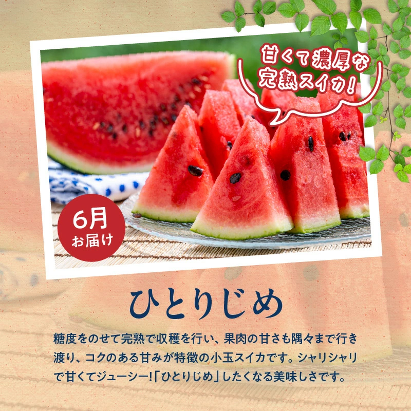 G60-T62_【定期便 全3回】紀州和歌山産旬のフルーツ定期便（