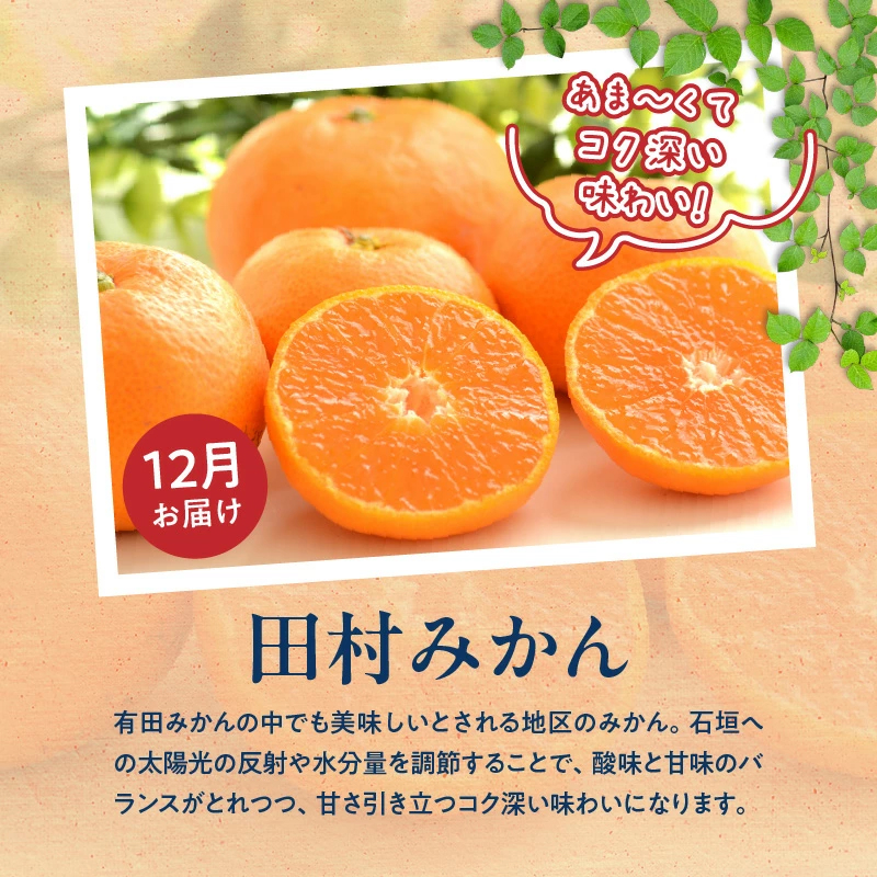 G60-T76_【定期便 全3回】紀州和歌山産旬のフルーツ定期便（