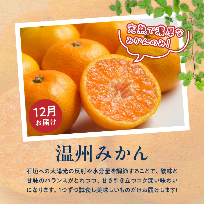 G60-T84_【定期便 全3回】紀州和歌山産旬のフルーツ定期便（