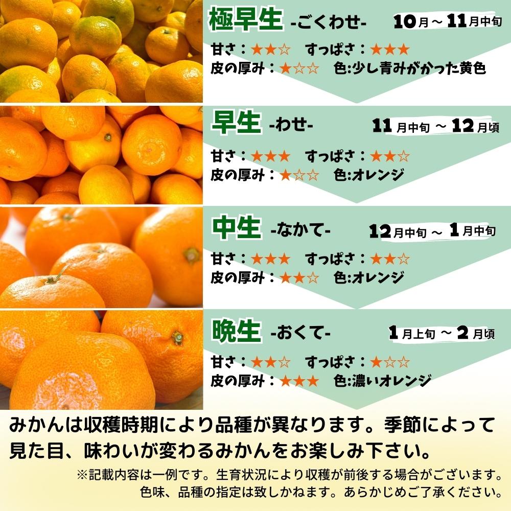 MK1004_みかん Ｍサイズ 秀品 箱込 10kg ( 内容量 9.2kg ) 有田み