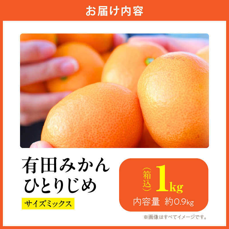 MK1008_【ANA限定】 みかん 食べ比べ お任せ3サイズ 箱込 3kg ( 