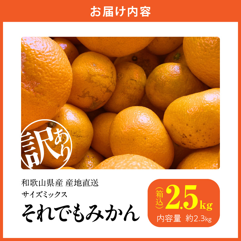 MK1048_訳あり それでも みかん 箱込 2.5kg ( 内容量 2.3kg ) サイ