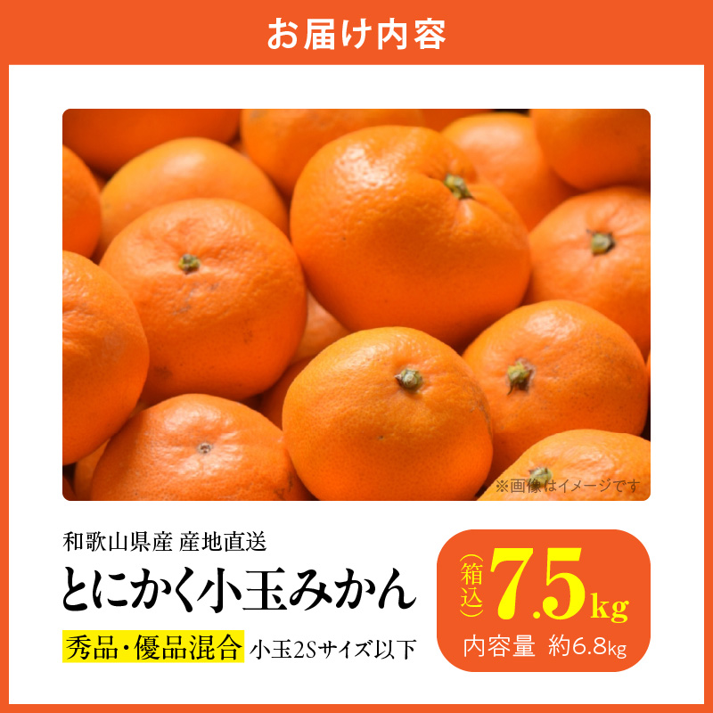 MK1052_みかん とにかく 小玉 箱込 7.5kg ( 内容量 6.8kg ) 2Sサイ