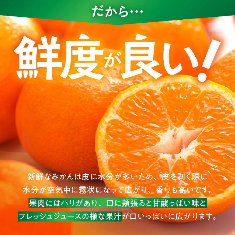 MK1081_【2026年先行予約】みかん 極早生 山から直送 箱込 2.5kg