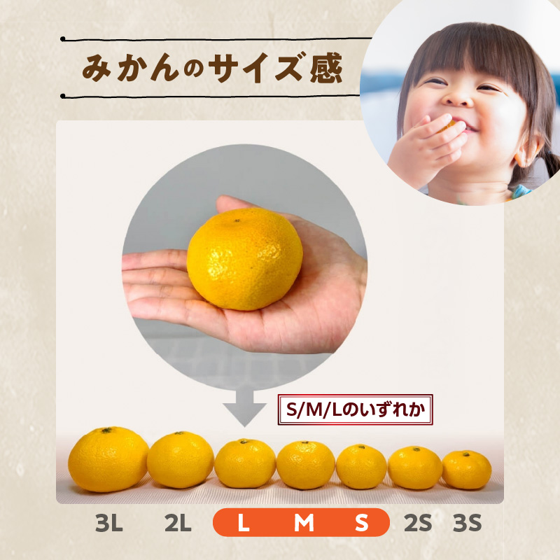 MK1056_【2026先行予約】ゆら早生 みかん 箱込 5kg ( 内容量 4.4kg