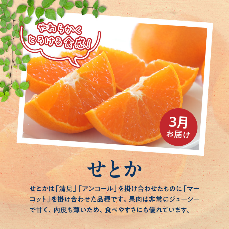 G60-T98_【発送月固定定期便】紀州和歌山産旬のご家庭用柑橘