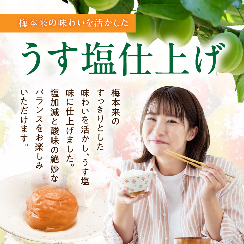 SF1029_紀州南高梅「稔」40粒入