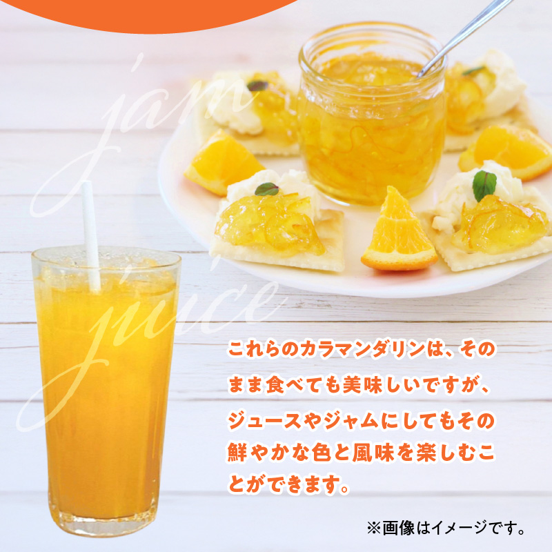 ZE6501_【2026年先行予約】和歌山県産　カラマンダリン　5kg　