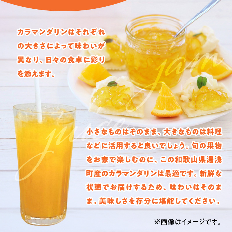 ZE6502_【2026年先行予約】和歌山県産　カラマンダリン　3kg　