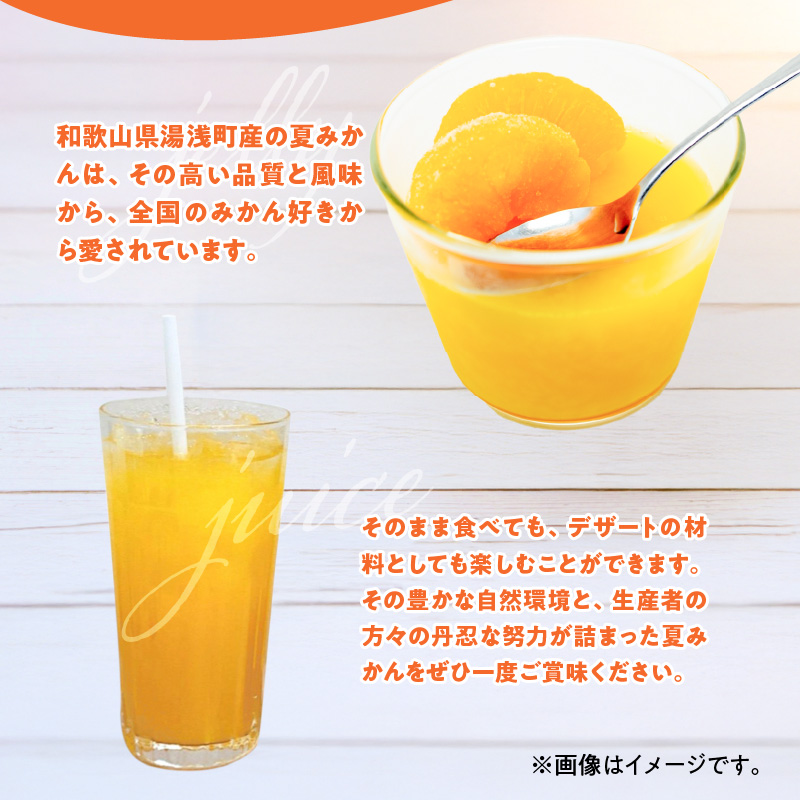 ZE6507_【2026年先行予約】和歌山県産　夏みかん　5kg　家庭用