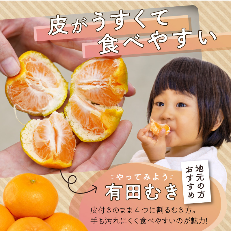 ZE6423_【2026先行予約】有田みかん 約5kg【家庭用】(S～Lサイ