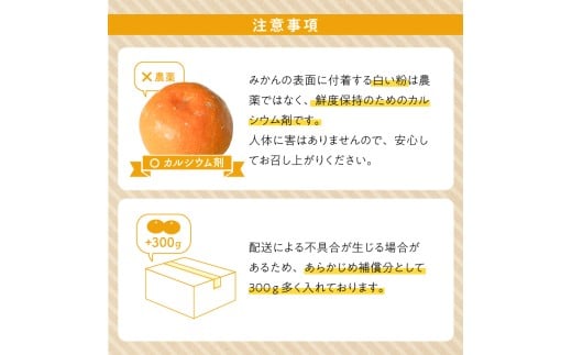 ZE6518_【2026年先行予約】【秀品】和歌山県産 有田みかん 約7