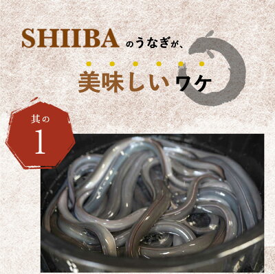 BC6006_うなぎ蒲焼 2本 角長特製蒲焼タレ 1本 セット 国産 安