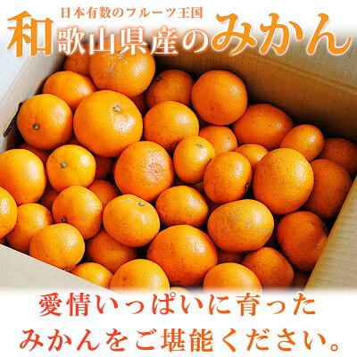 G7072_【2026年先行予約】初夏のみかん なつみ5kg