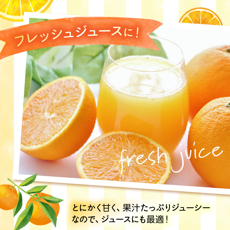 ZN6001n_【2026年先行予約】和歌山県有田産 完熟 清見オレンジ